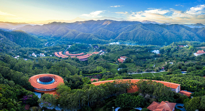 雁南飛茶田度假村